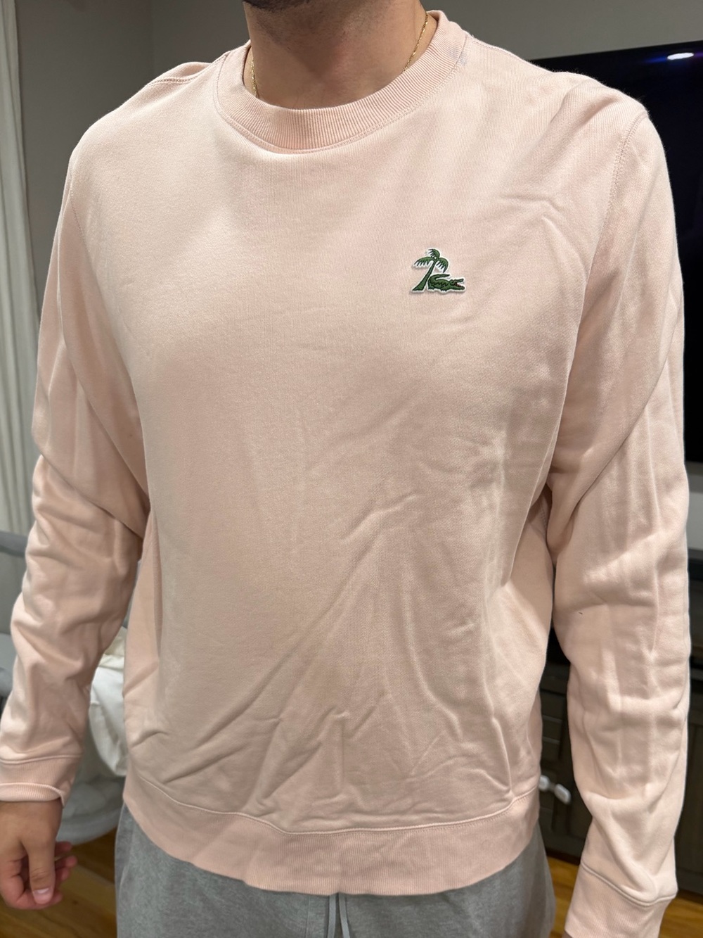 Lacoste Mens Crew Neck Sweater